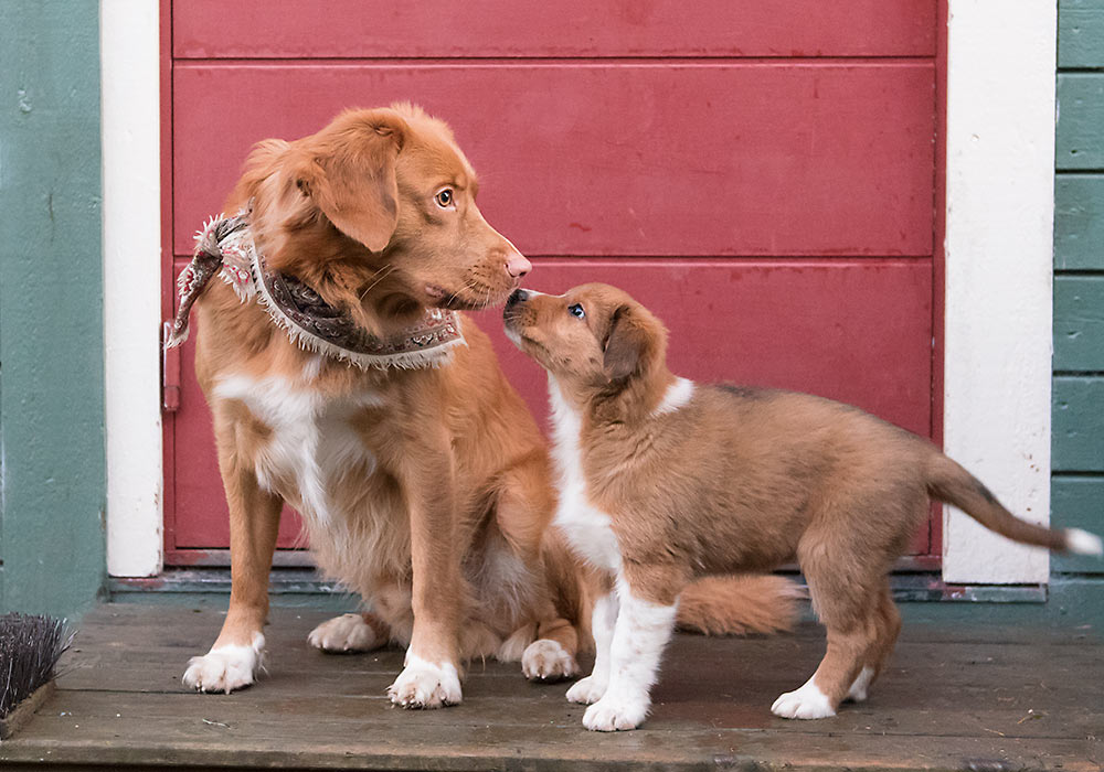 Mia får besøk av sin far, tolleren Louie.