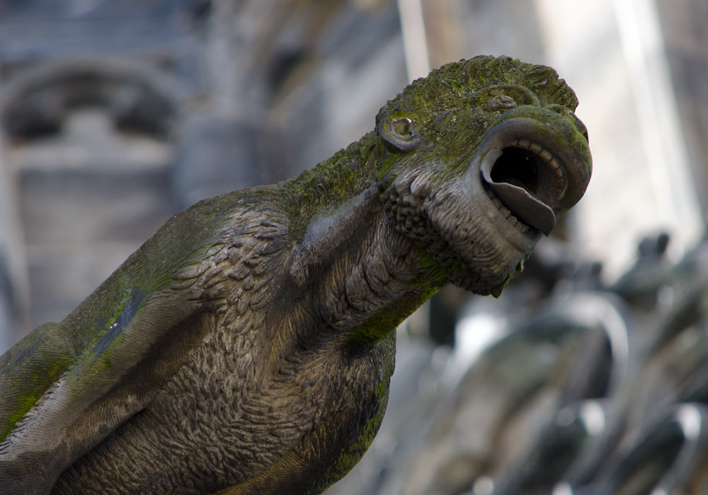 St. Vitus-katedralen, Praha