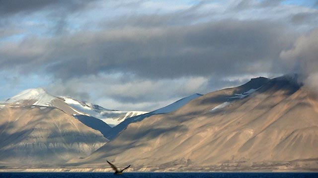 Isfjorden, Svalbard