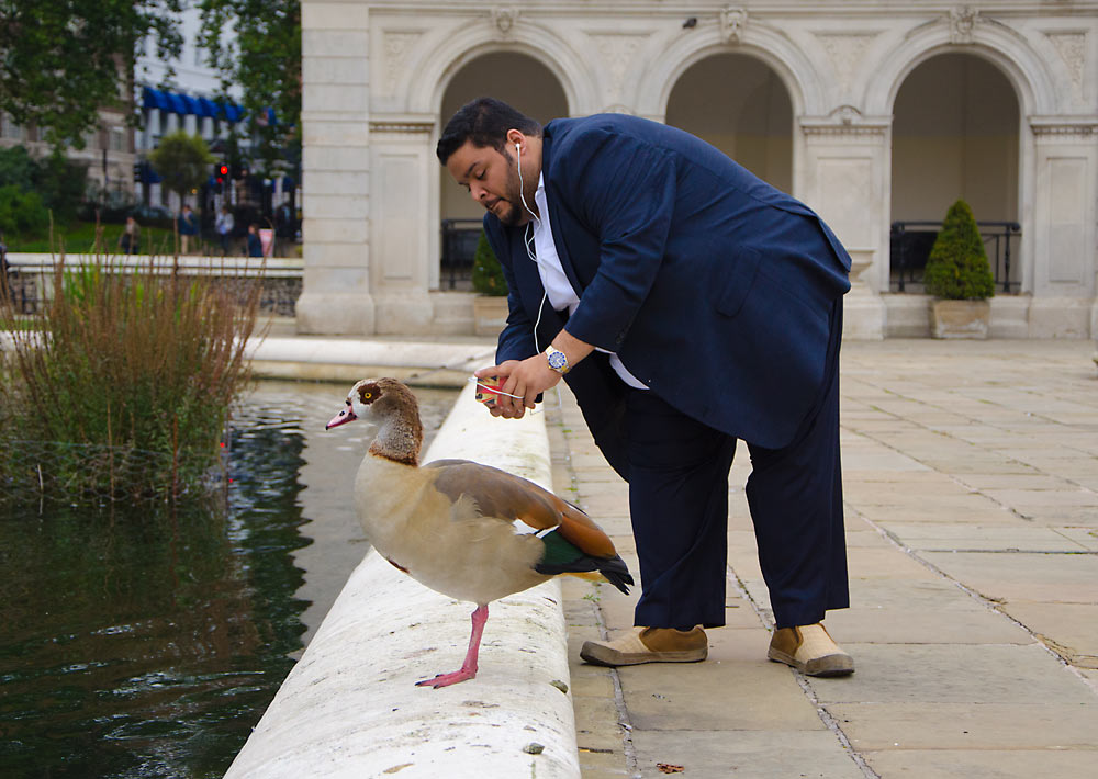 Fuglefotograf i Italian Gardens (Hyde Park).