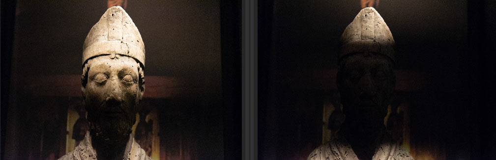 Nikon D750 mørke flekker