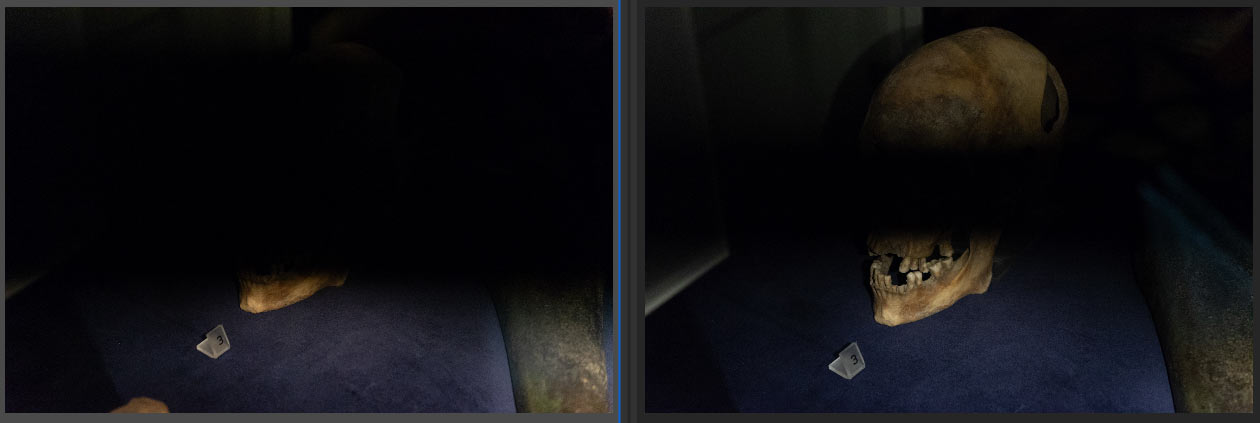 Mørke flekker Nikon D750