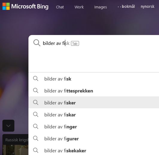 bing autofullfør